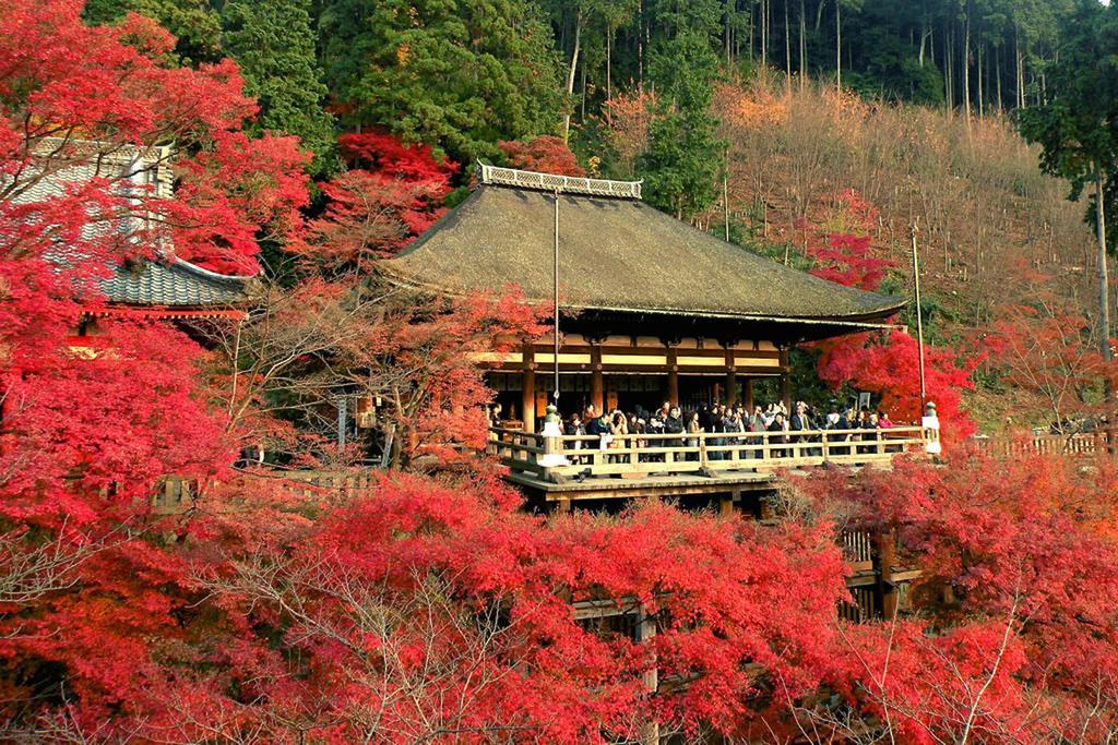 הוילה Rin Kyoto Kinkaku-Ji Temple מראה חיצוני תמונה